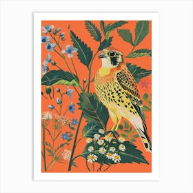 Spring Birds American Kestrel 2 Art Print