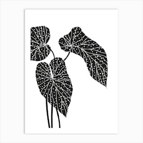 Begonia Leaves Art Print