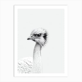 Emu B&W Pencil Drawing 2 Bird Art Print