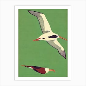 Albatross Midcentury Illustration Bird Art Print