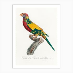 The Rainbow Lorikeet, From Natural History Of Parrots, Francois Levaillant Art Print