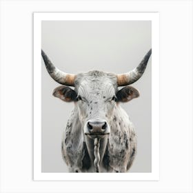 Longhorn Bull Art Print