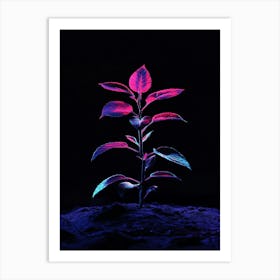 Plant In The Dark 26 Art Print