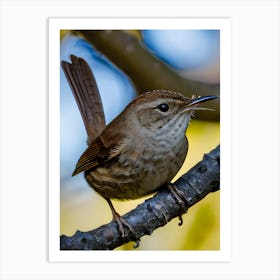 House Wren -Reimagined 12 Art Print