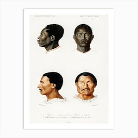Human Race, Charles Dessalines D' Orbigny Art Print