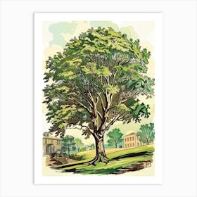 Paulownia Tree Storybook Illustration 1 Art Print