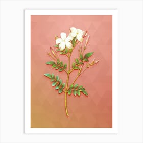 Vintage Spanish Jasmine Botanical Art on Peach Pink n.1375 Art Print