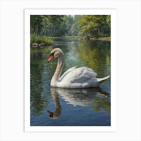 Swan In Water Art Print