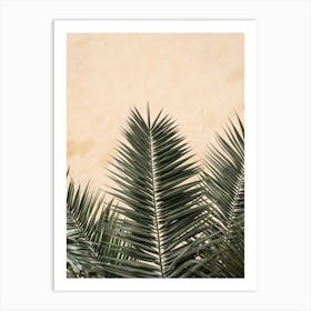 Palm Leaves_2103211 Art Print
