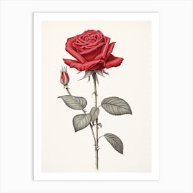 Roses Flower Vintage Botanical 0 Art Print