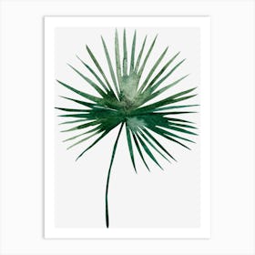 Palm Leaf Art Print