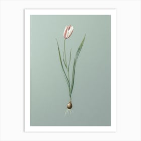 Vintage Lady Tulip Botanical Art on Mint Green Art Print