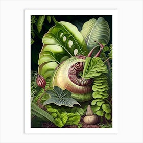 Garden Snail In Shaded Area Botanical Art Print