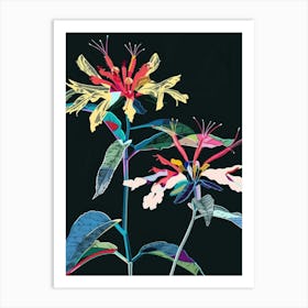 Neon Flowers On Black Bee Balm 1 Art Print