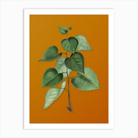 Vintage Quaking Aspen Botanical on Sunset Orange n.0448 Art Print