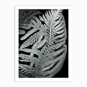 Silver Lace Fern 1 Vibrant Art Print