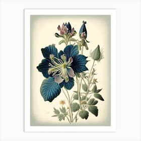 Columbine 1 Floral Botanical Vintage Poster Flower Art Print