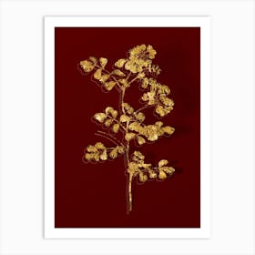 Abnqa Vintage Scorpion Vetch Plant Botanical In Gold On Red N Art Print