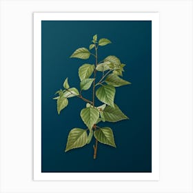 Vintage Black Birch Botanical Art on Teal Blue n.0010 Art Print