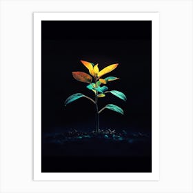 Plant In The Dark 25 Art Print