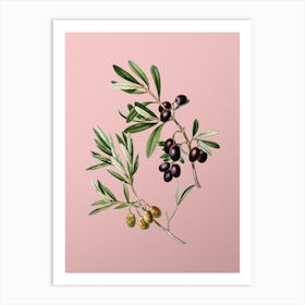 Vintage Olive Botanical on Soft Pink n.0148 Art Print