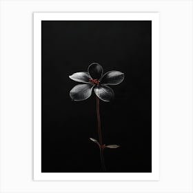 Black Flower 1 Art Print