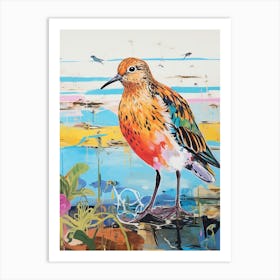 Colourful Bird Painting Dunlin 3 Art Print