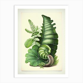 Snail With Fern Leaves 1 Botanical Art Print