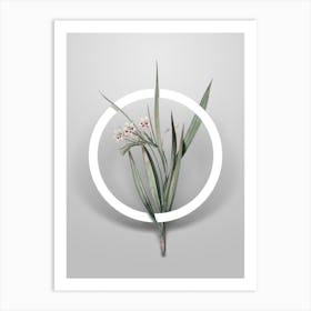 Vintage White Baboon Root Minimalist Botanical Geometric Circle on Soft Gray n.0553 Art Print