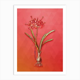 Vintage Guernsey Lily Botanical Art on Fiery Red n.0286 Art Print