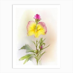 Evening Primrose Wildflower Watercolour 2 Art Print