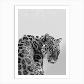 Tiger Black And White Art Print