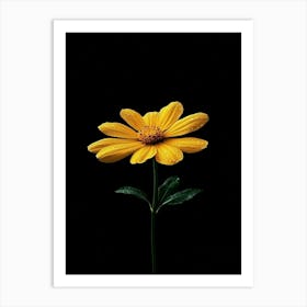 Single Yellow Flower 22 Art Print