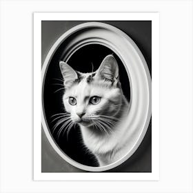 Cat 3 Art Print