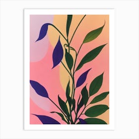 Maidenhair Vine Colourful Illustration Art Print