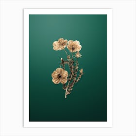 Gold Botanical Long Stalked Ledocarpum on Dark Spring Green n.2428 Art Print