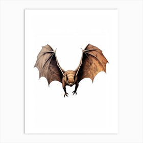 Big Brown Bat Vintage Illustration 1 Art Print