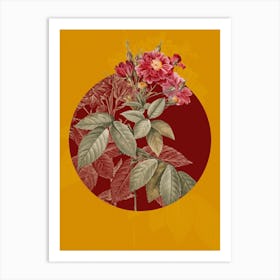 Vintage Botanical Boursault Rose on Circle Red on Yellow n.0115 Art Print