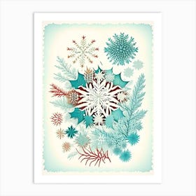 Nature, Snowflakes, Vintage Sketch 1 Art Print