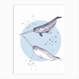 Narwhals Art Print