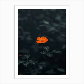 Single Orange Flower 17 Art Print