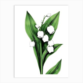 Lily Of The Valley 20 Art Print