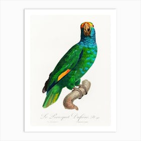 The Blue Cheeked Amazon From Natural History Of Parrots, Francois Levaillant Art Print