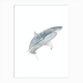 Shark Art Print