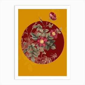 Vintage Botanical Alpine Rose on Circle Red on Yellow n.0279 Art Print