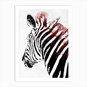 Zebra Art Print