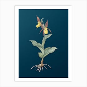 Vintage Lady's Slipper Orchid Botanical Art on Teal Blue Art Print