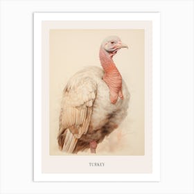 Vintage Bird Drawing Turkey 2 Poster Art Print