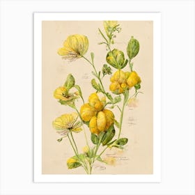 Yellow Flowers Farmhouse Botanical Art Print