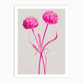 Hot Pink Globe Amaranth Art Print